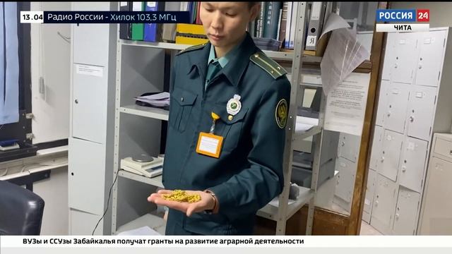В Забайкалье пресекли попытку контрабанды в Китай золота стоимостью более 1,5 млн рублей смотреть онлайн