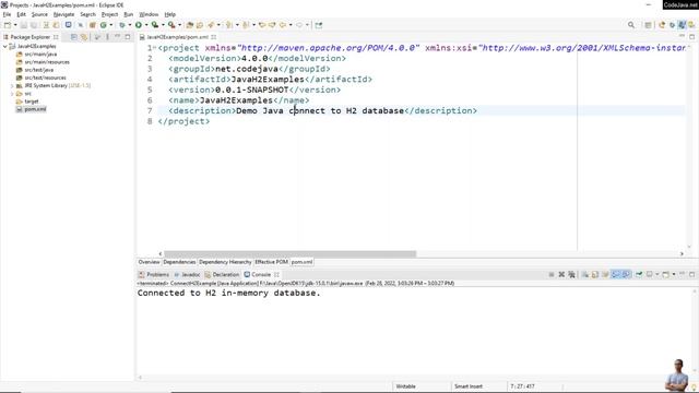 Java Connect to H2 Database Examples смотреть онлайн