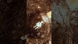 Обезвредить колдуна. Для подписчиков