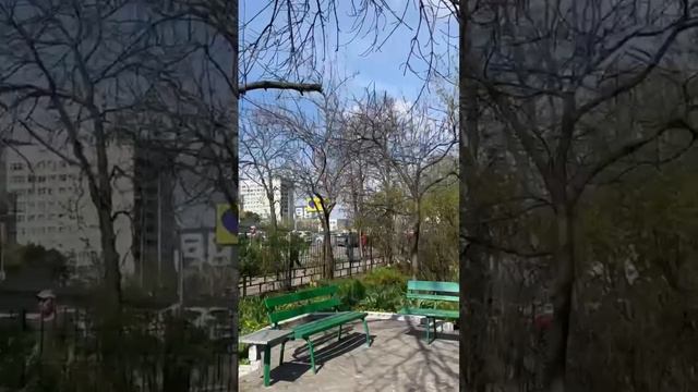 Наперегонки с тцкашниками смотреть онлайн