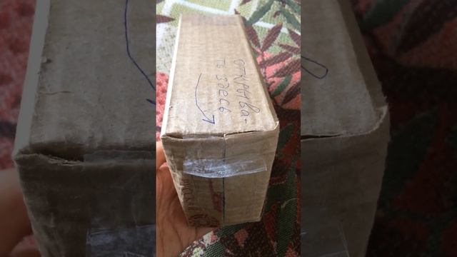 Сделай Себя Профессионалом