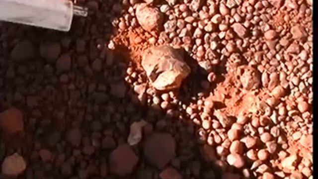 4-2 Camel Trail walk Millyanha camp Python Pool to Millstream NP смотреть онлайн