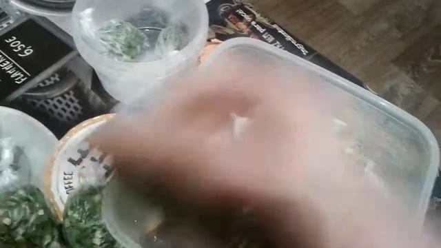 ЗАМОРОЗКА ЗЕЛЁНОГО ЛУКА "БОМБОЧКАМИ"! смотреть онлайн