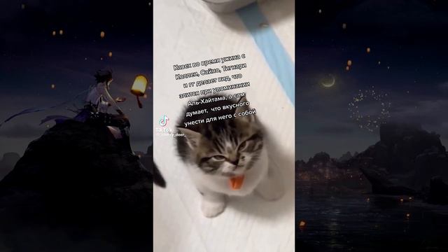 РЖАЧНАЯ ПОДБОРКА ИЗ ТИК ТОКА ПО ГЕНШИНУ И ХСР (Ренесса́нс) [Genshin Impact]№6 смотреть онлайн