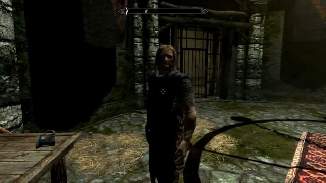 Skyrim with funny commentary Episode 1 смотреть онлайн