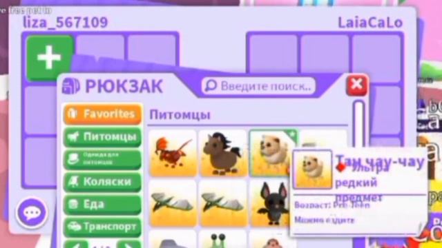 🐶ТРЕЙЖУ ЧАУ ЧАУ🐶 смотреть онлайн