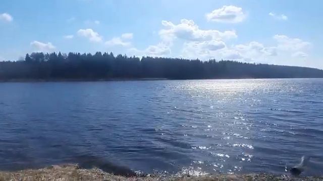 Лавров Белозерского района #недвижимость_без_хлопот #rimrealty (2) смотреть онлайн