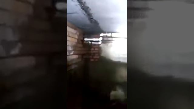 Информация о доме по адресу улица Кривошеева, 4 (Кола) смотреть онлайн