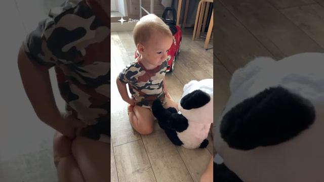 Целует пандочку. Господи как это мило #малыш #мамскийвлог #панда смотреть онлайн