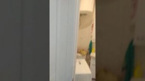 Смежный угол двух дверных проёмов