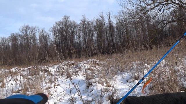 На Новый год со спиннингом. [Breaden] Specimen Tiptop 76.