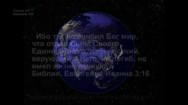 горчица - как удобрение и для салата - mustard salad смотреть онлайн