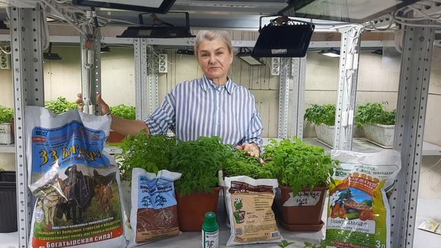 Новогодняя акция от БашИнком. смотреть онлайн