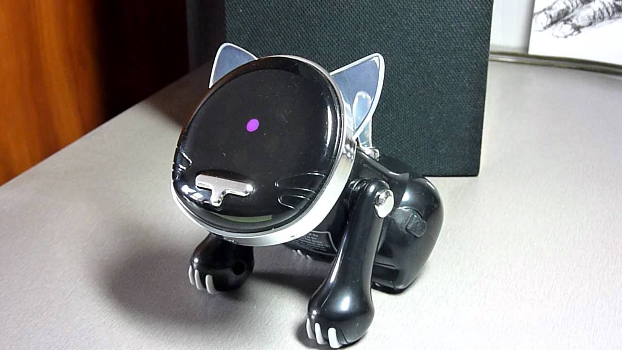 i-Cat смотреть онлайн