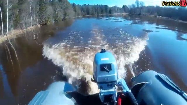 Шармакс 5 обкатка. Sharmax5. Обкатка лодочного мотора.