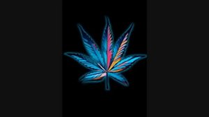 Грузинская трап   ..   Georgian Trap