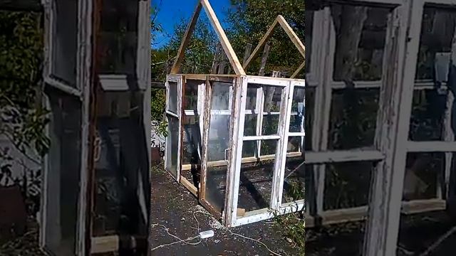 Теплица из старых оконных рам своими руками