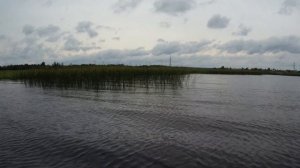 Рыбалка в Карелии Кондопожская Губа 13 Августа 2017 г