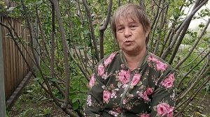 Бруннера сибирская