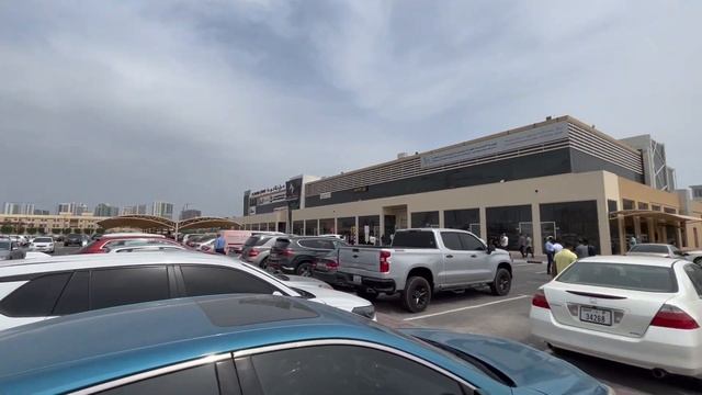 Virtual Work Visa в Дубае. Получение Emirates ID. смотреть онлайн