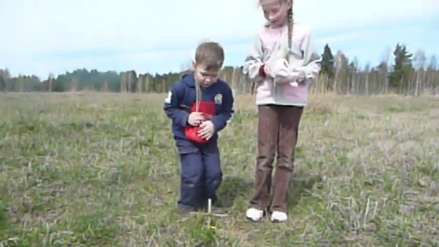 похороны кошки смотреть онлайн