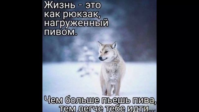 ВОТ ЭТО СДОХ ЧЁТКО《озвучка пинов》№27 смотреть онлайн