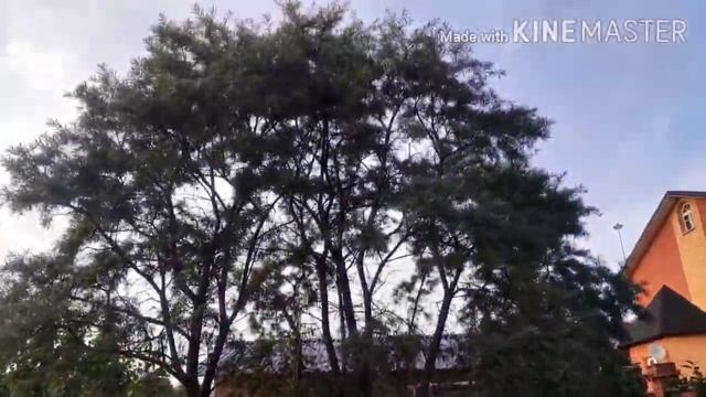 Уборка территории идёт полным ходом! смотреть онлайн