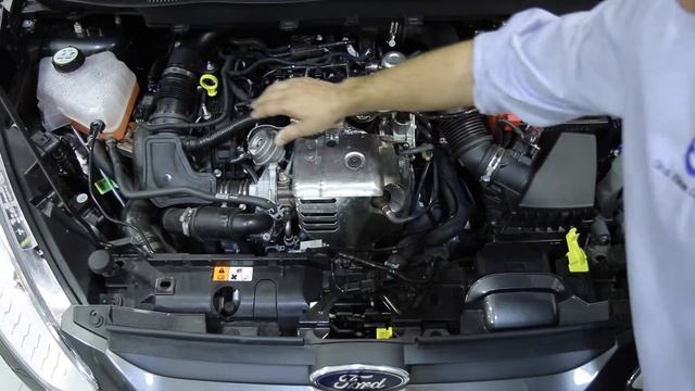 Formación Ford B Max 2016 смотреть онлайн