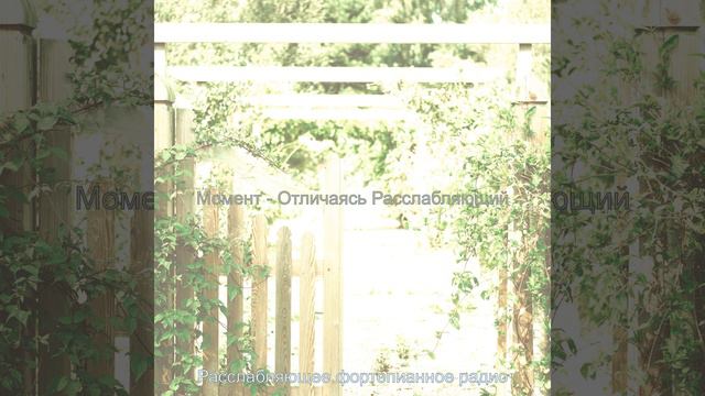 Спокойный - чтение смотреть онлайн