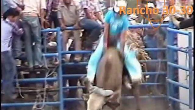 Toro el Espanta Pajaros Vs Ulises Torres jaripeo en santa marta 2012 смотреть онлайн