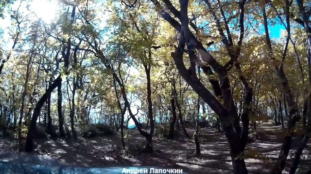 Выживание на Чёрном море. 10 способов не быть голодным у Чёрного моря. Отдых дикарём 2-я ч. смотреть онлайн