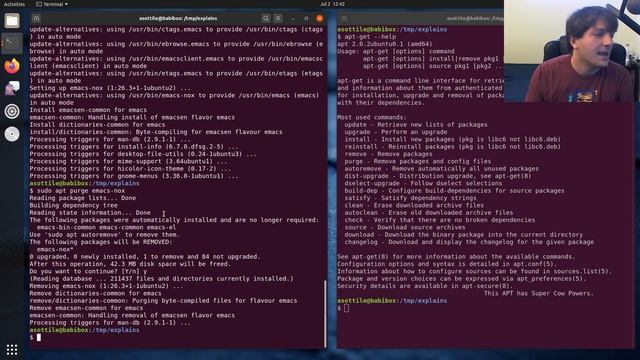 intro to apt (debian / ubuntu) (beginner + intermediate) anthony explains #062 смотреть онлайн