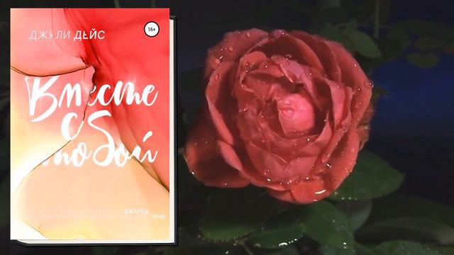 Вместе с тобой "Любовный роман" (Джули Дейс) Аудиокнига смотреть онлайн