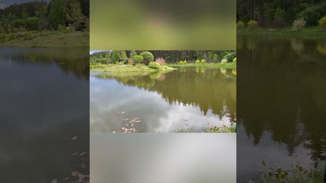 Рыбалка в Беларуси, вечерняя рыбалка, красивое место, ловись рыбка смотреть онлайн
