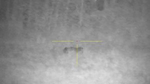 Цифровой прицел с али экспресс  Sytong HT 60 3/8x 940nm.