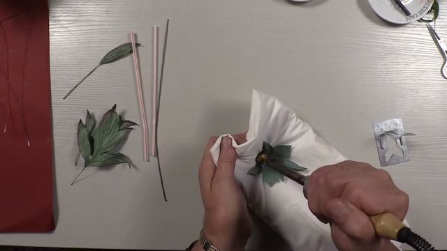 Пион SORBET из Х.Ф. SORBET part 3 смотреть онлайн