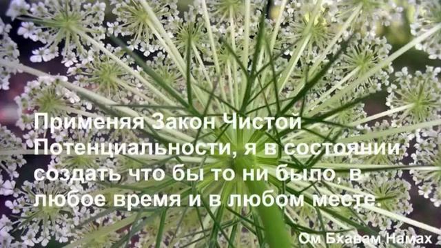 8 день Медитация Изобилие и Закон Чистой Потенциальности смотреть онлайн