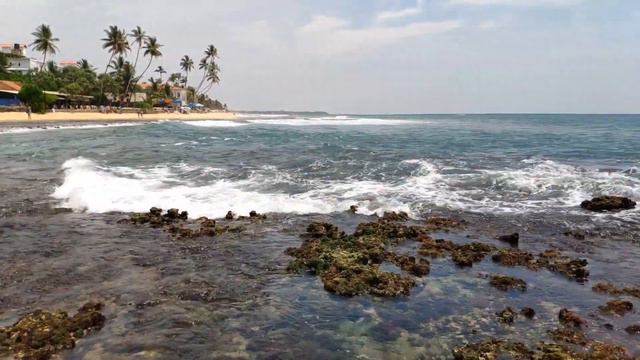 Шри Ланка, Хиккадува. (Sri Lanka, Hikkaduwa). смотреть онлайн