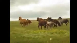 В  ВЫСОЦКИЙ  ПОГОНЯ ИЗ К Ф  'ЕДИНСТВЕННАЯ'