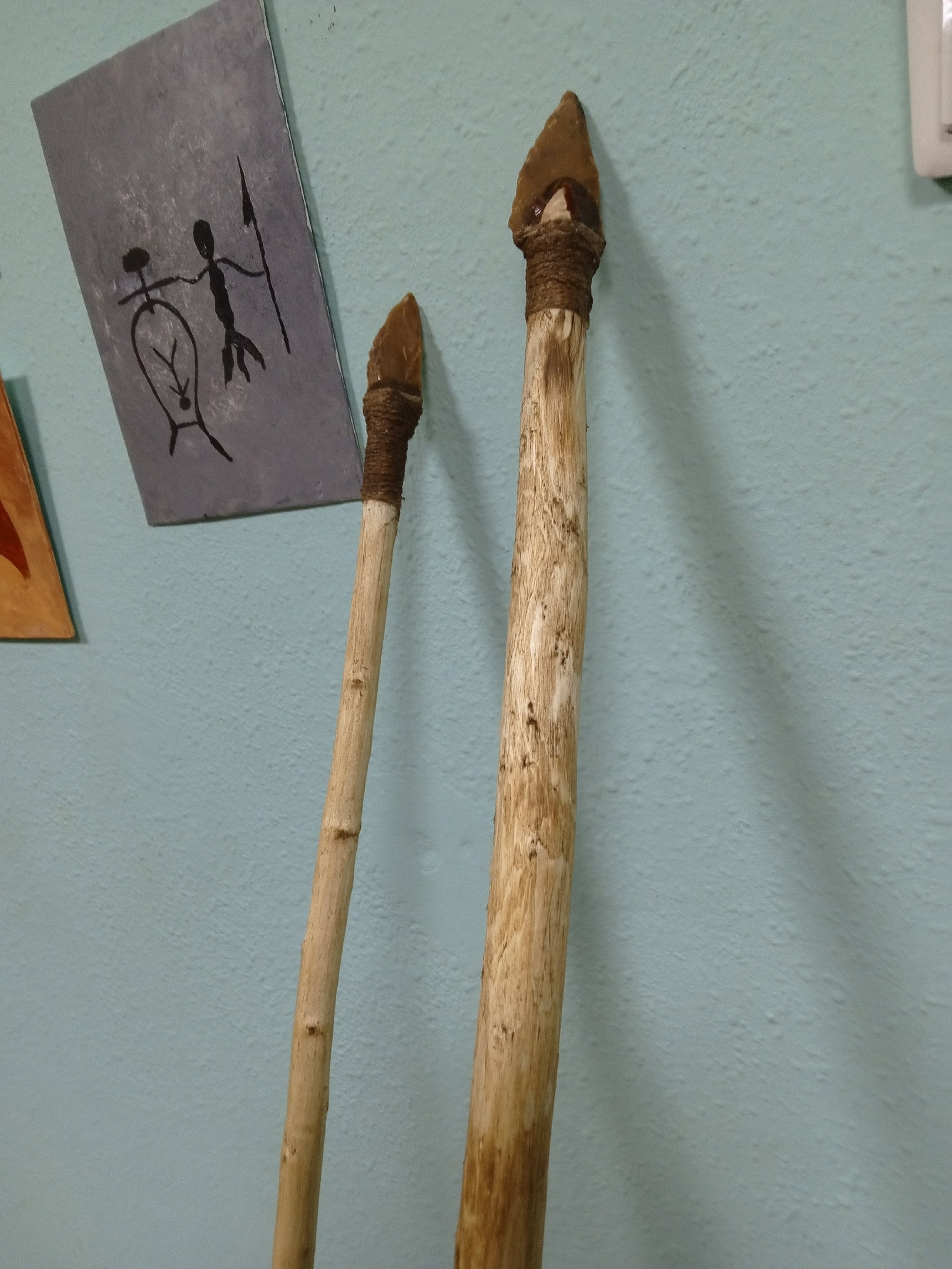 Неандертальское копье