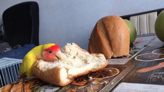 Рукодельные заметки с 19 -26 апреля !! смотреть онлайн