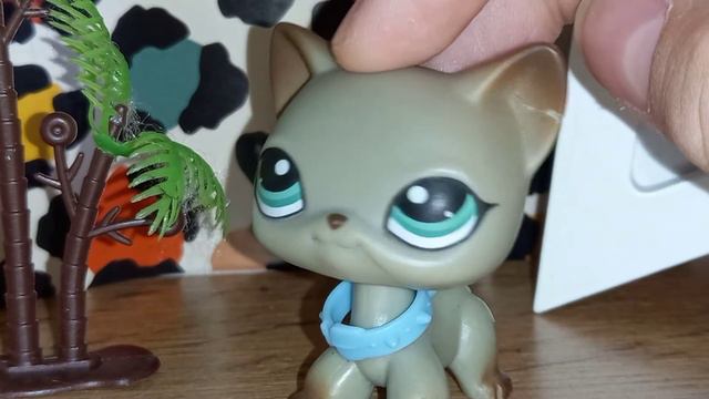 Разговорное видео,будет ли фильм на канале?,и новые петы смотреть онлайн