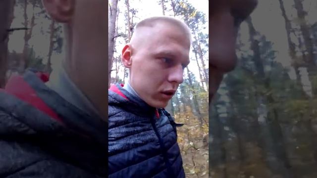 Сбор грибов в Польше смотреть онлайн