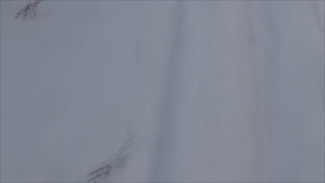 Украина - Поход в лес смотреть онлайн
