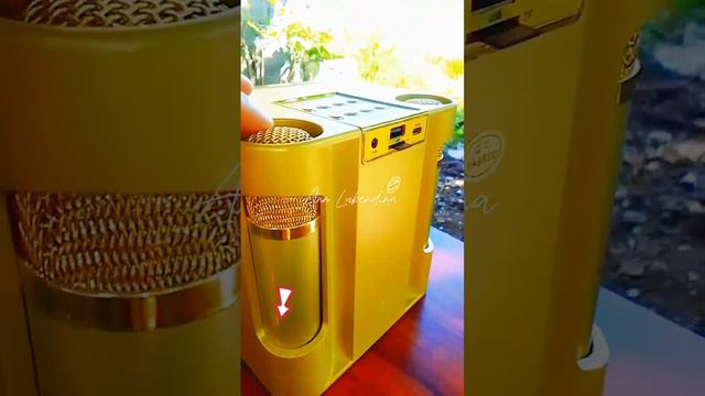 Portable Rechargeable Bluetooth Speaker with Dual Wireless Microphones смотреть онлайн