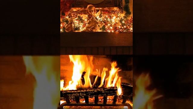 🎄Jazz Cat Music #jazz #джаз #relaxingjazz #blackcatmajk #catmusic