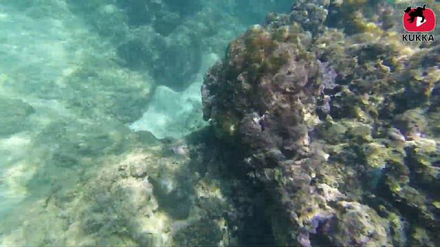 Snorkeling Hikkaduwa - Train Journey From Colombo To Hikkaduwa