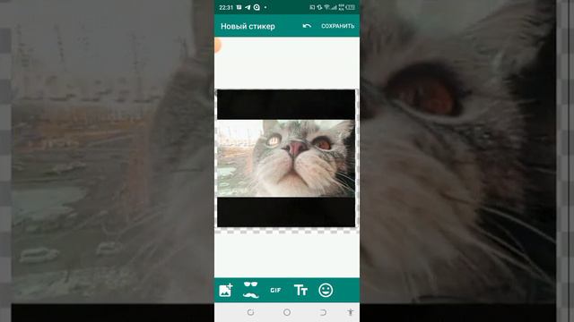 Как сделать стикеры для „ WhatsApp ” саморучно. смотреть онлайн