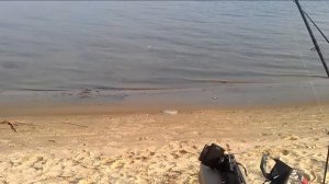 Фидерная снасть гирлянда на чехонь