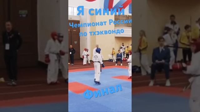 Чемпионат первенство России по тхэквондо смотреть онлайн